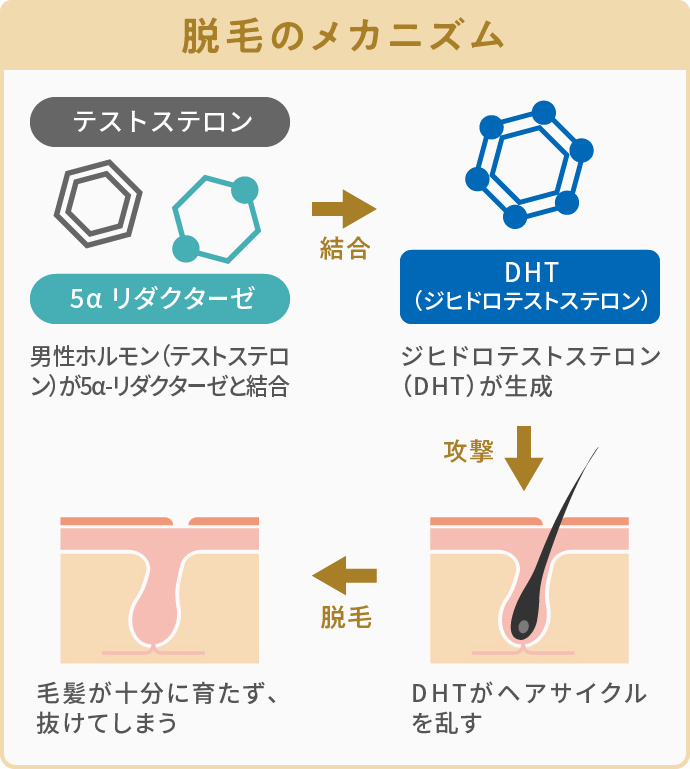 新品未使用 薄毛 脱毛 多毛の原因判明 岡英一著 毛髪化学研究所